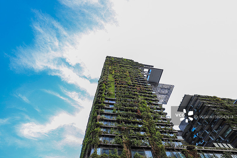 高层建筑阳台上的绿色植物图片素材