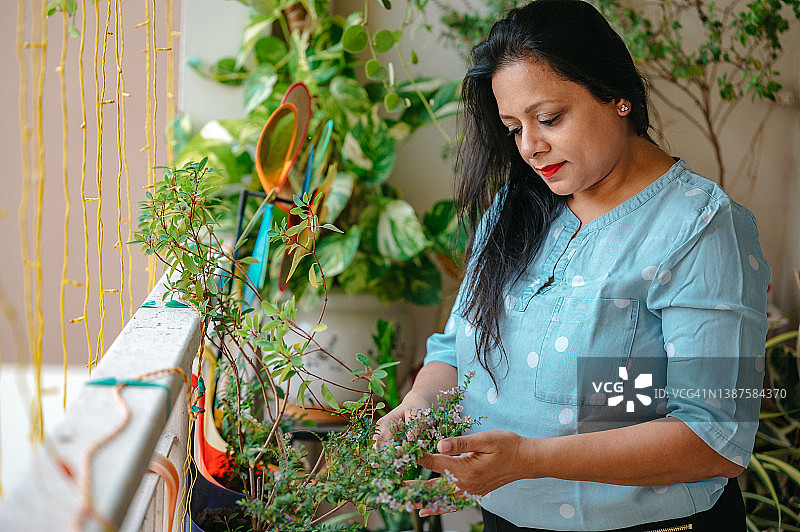 女人用绿色盆栽植物装饰阳台图片素材