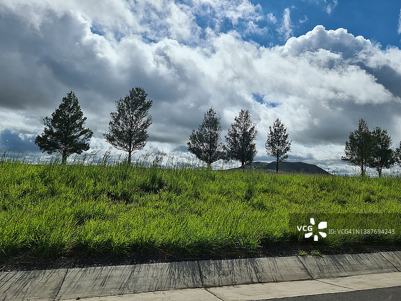 路边风景1图片素材