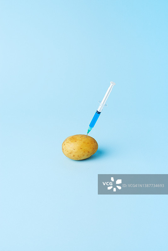 注射器插入马铃薯，转基因食品概念图片素材