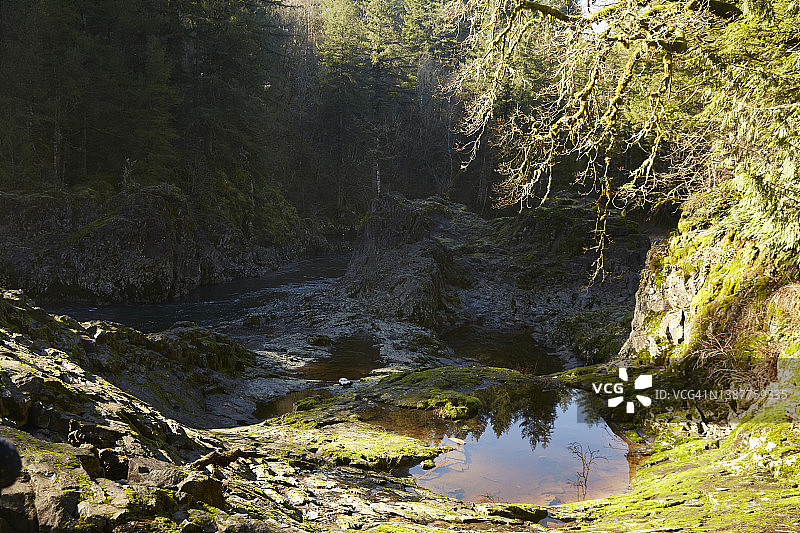 露西亚瀑布上游的苔藓峭壁图片素材