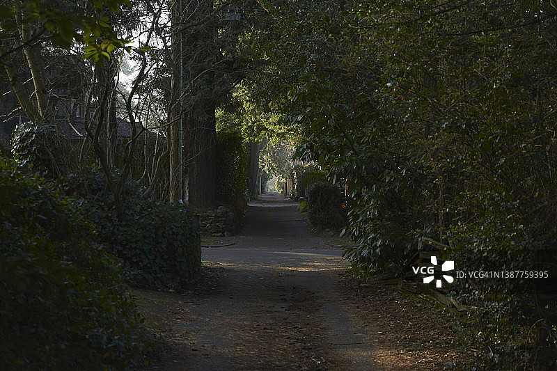 俄勒冈州波特兰的黑暗小巷图片素材