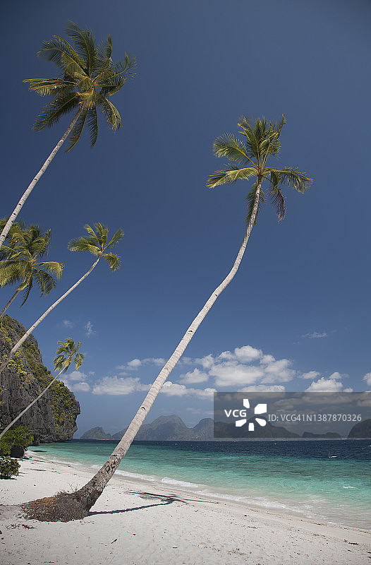 手掌倚靠在热带海滩上图片素材