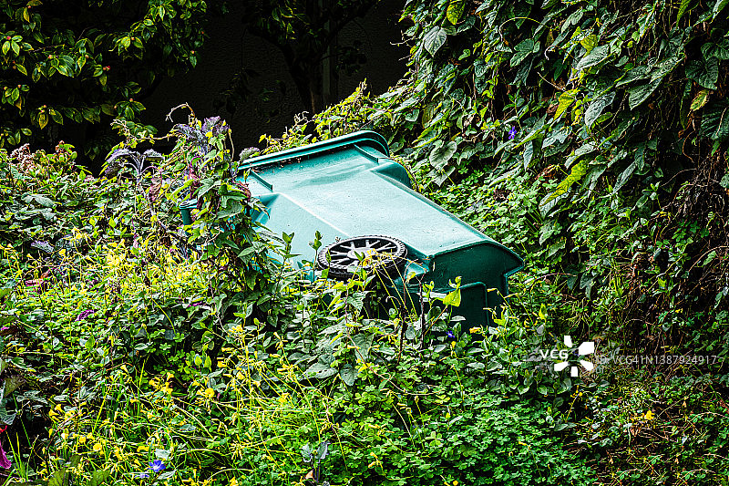 前院的绿色回收箱图片素材