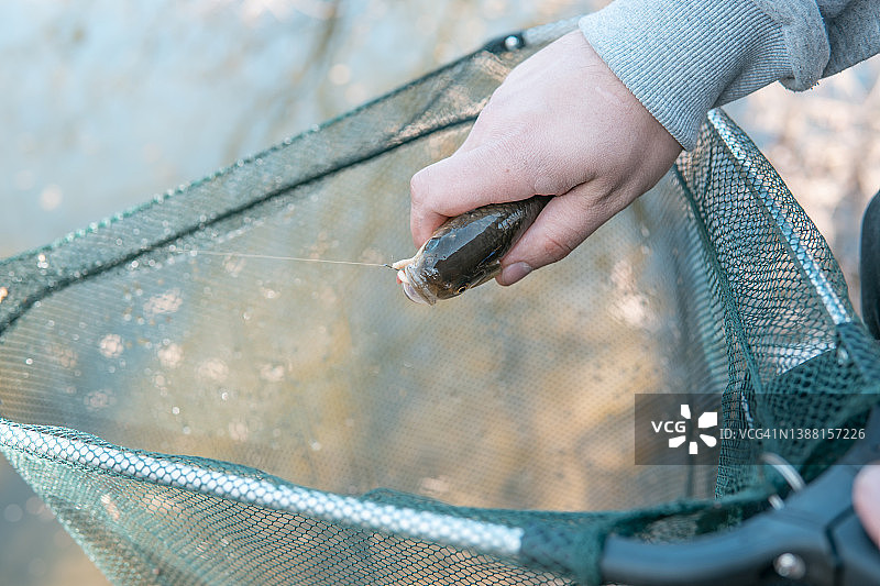 手持带钩和口含蠕虫的鱼图片素材