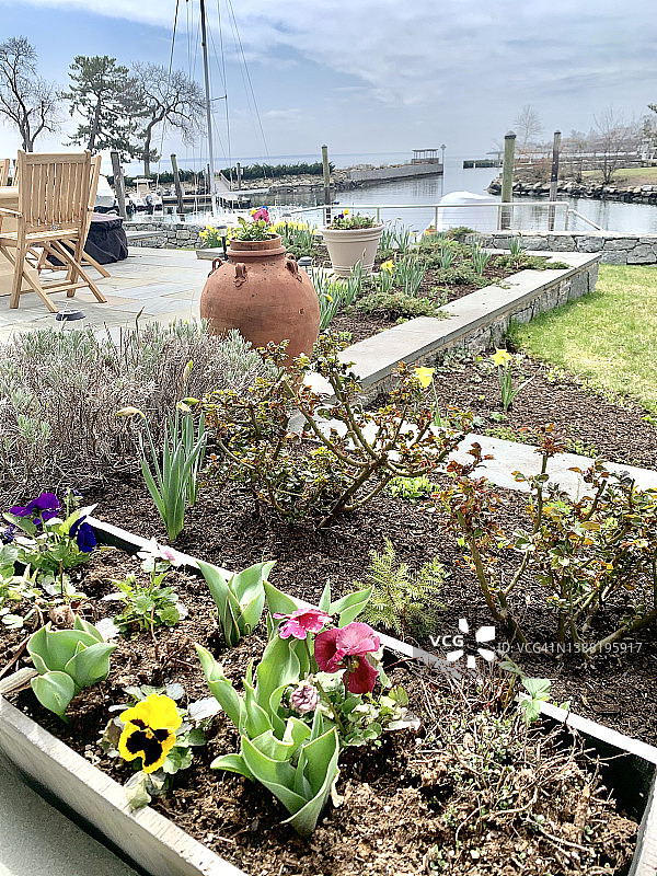 春天的花园图片素材