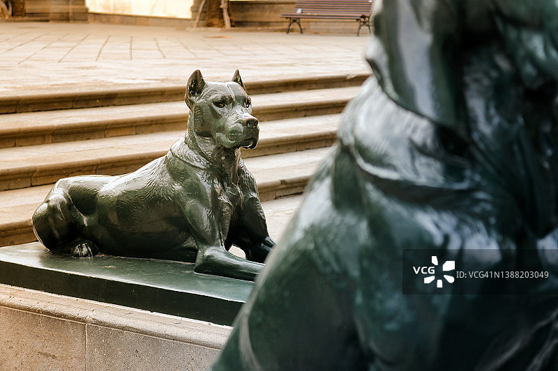 大加那利岛拉斯帕尔马斯图片素材