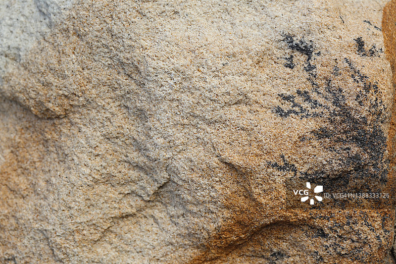 砂岩海藻化石图片素材