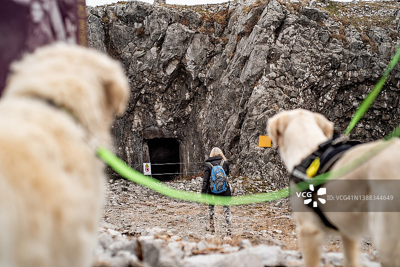 金毛犬看着主人从一战洞穴走来图片素材