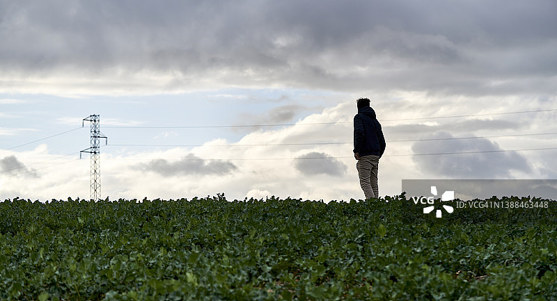在自然中享受阳光的地平线上的人的阴影轮廓图片素材