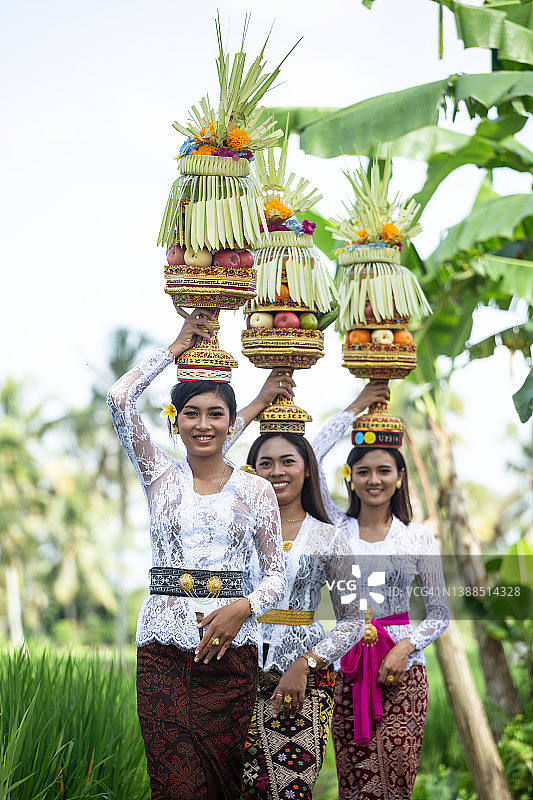 印度尼西亚巴厘岛，巴厘妇女在稻田边进行祭祀图片素材