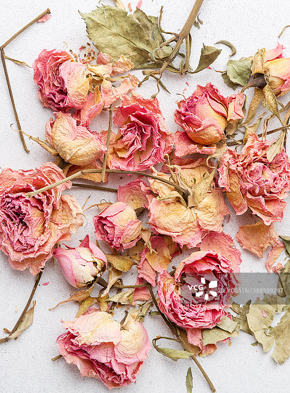 浅色背景上的干燥玫瑰花瓣图片素材