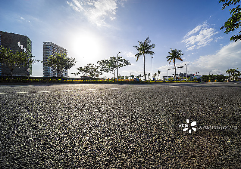 椰子树图片素材