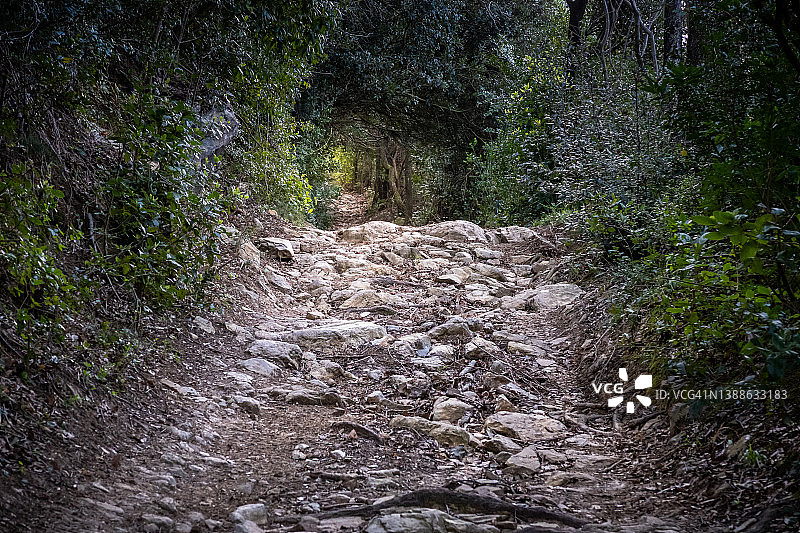 利沃诺罗西尼亚诺徒步旅行,托斯卡纳 - 意大利图片素材