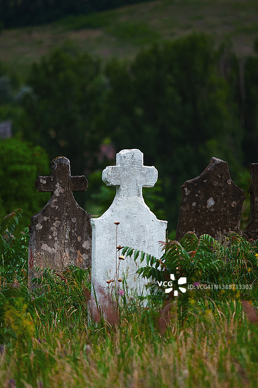 废弃墓地中的白色十字墓碑图片素材