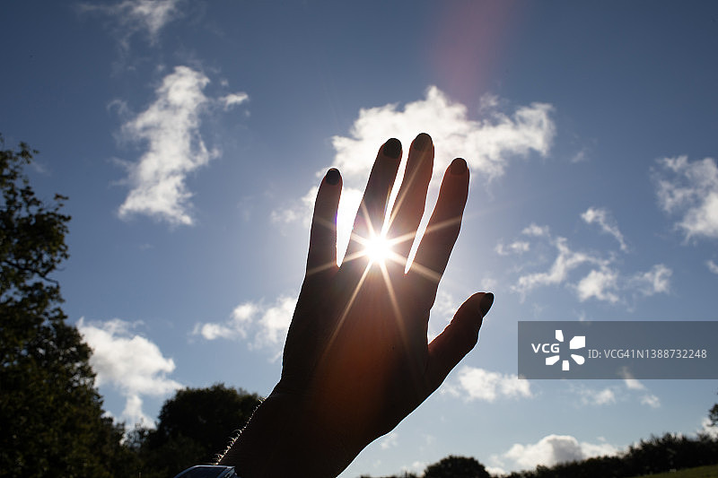阳光穿过手图片素材