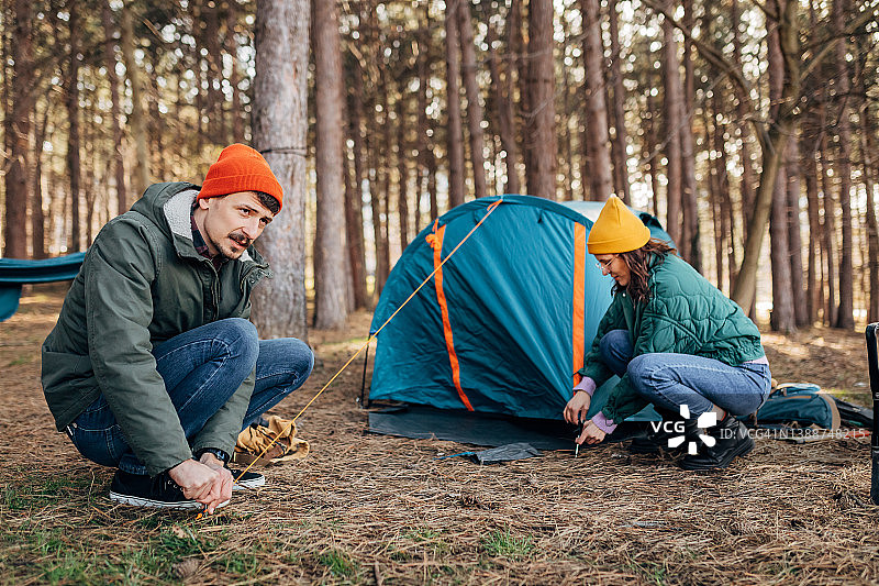 搭建帐篷并准备在松林中过夜的露营者，情侣露营图片素材