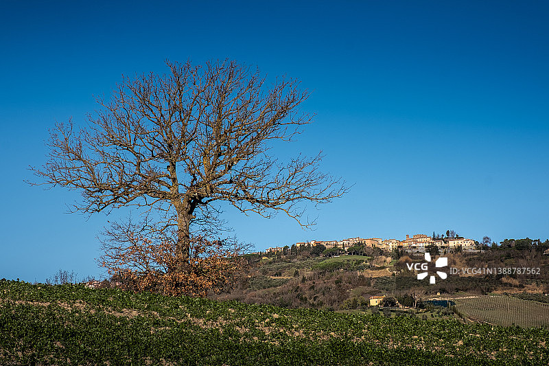 意大利托斯卡纳比萨省瓜尔迪斯塔洛图片素材