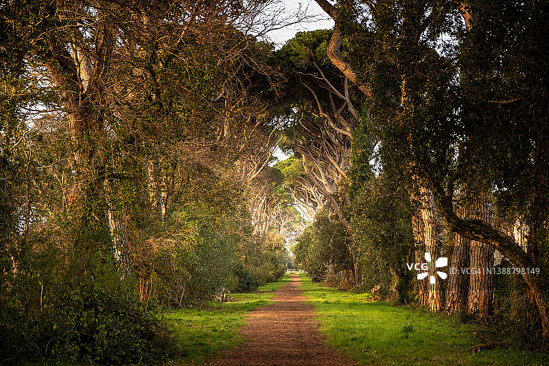 意大利托斯卡纳利沃诺图片素材