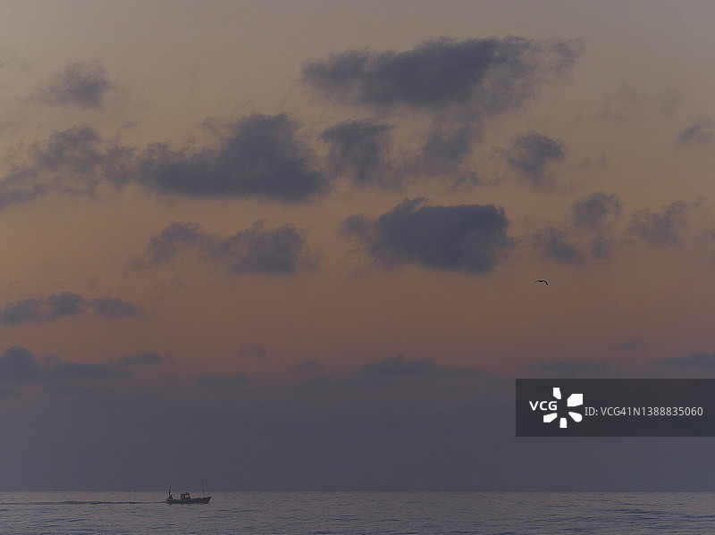 夕阳下渔船和海鸥的轮廓图片素材