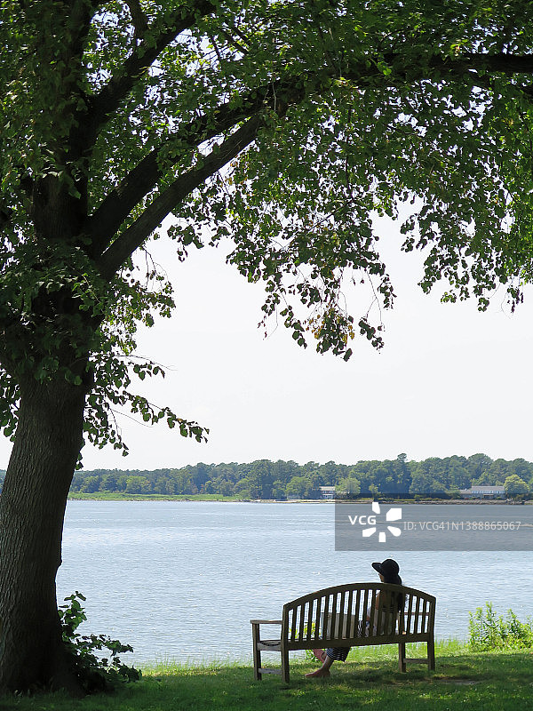 年轻女人坐在海边树下的长椅上放松和做白日梦图片素材