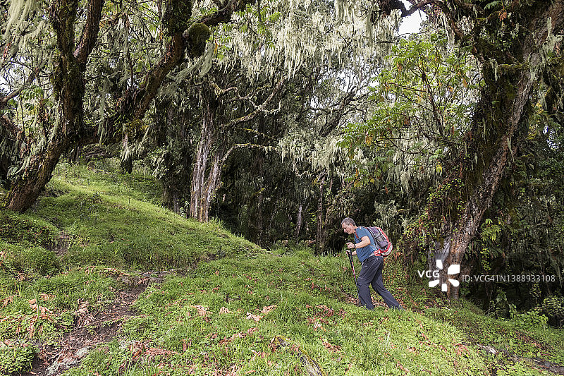 徒步坦桑尼亚梅鲁山神秘雨林图片素材