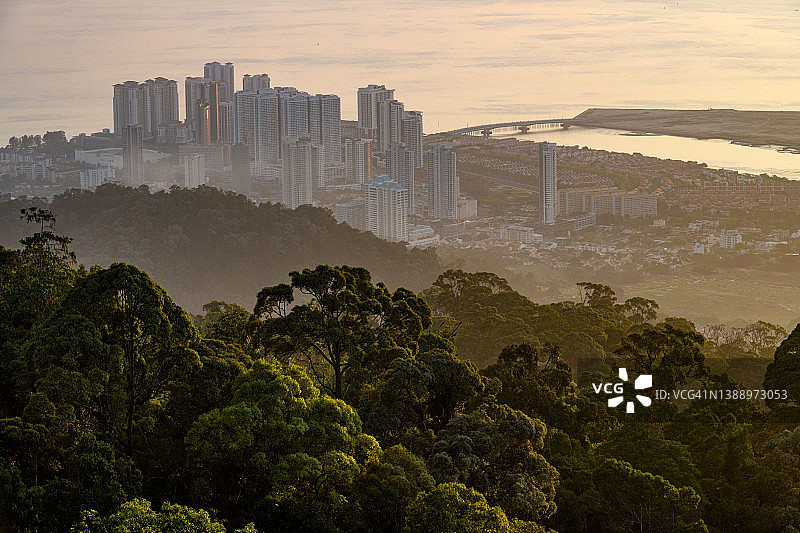 混凝土森林与热带雨林的对比图片素材