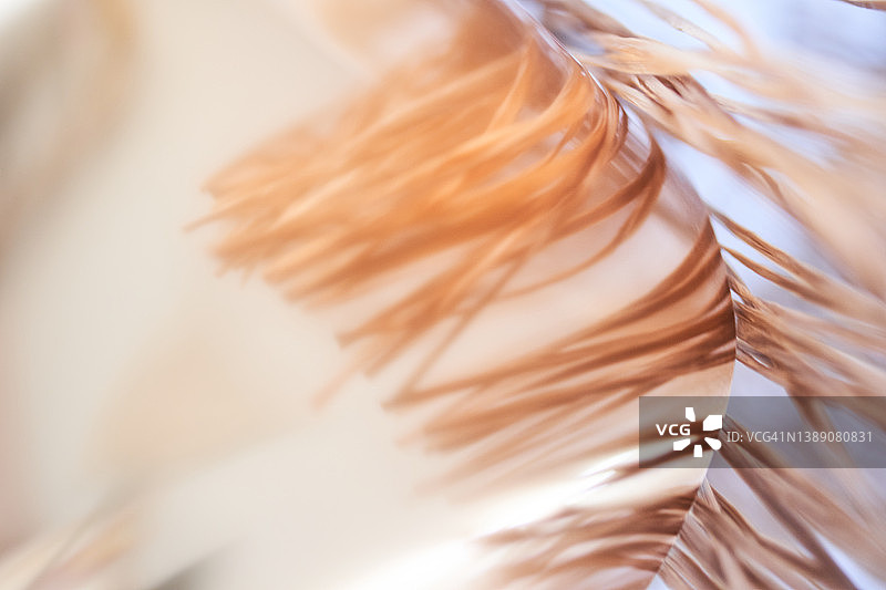 彩色抽象粉色背景图片素材