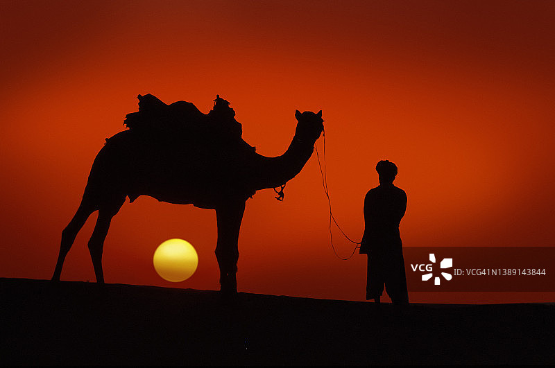 骆驼驾驶员图片素材