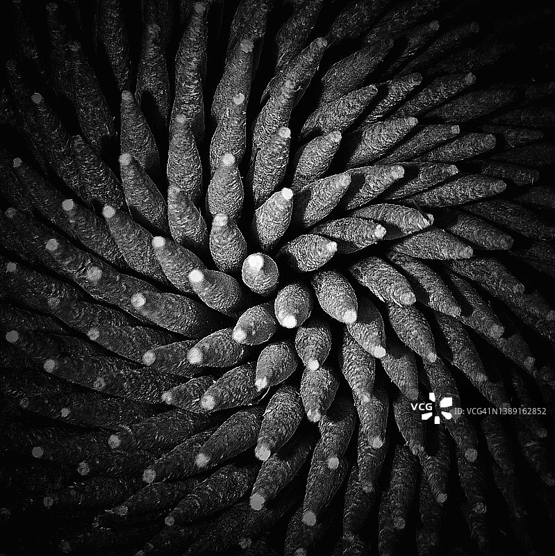 木制牙签特写顶视图（黑白照片）图片素材