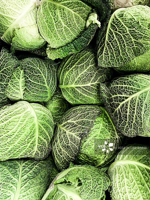 皱叶甘蓝背景图片素材