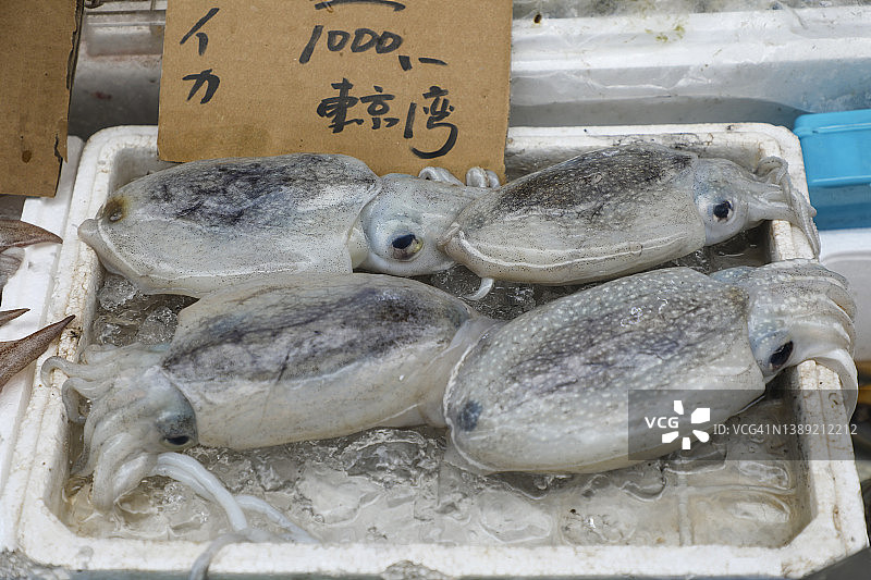 东京湾横滨市场新鲜墨鱼图片素材