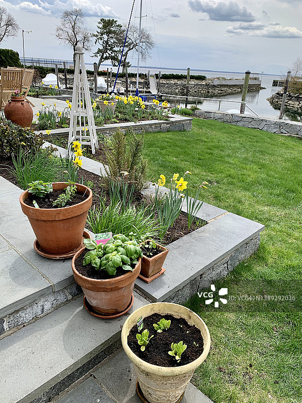 春天的花园图片素材