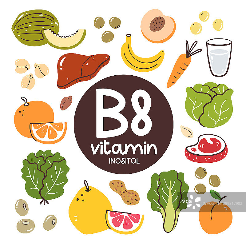 维生素B8食物成分。肌醇图片素材
