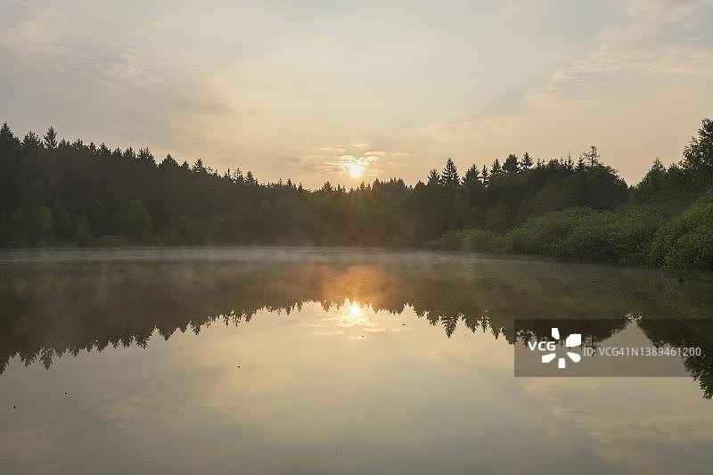 德国巴登-符腾堡州瓦尔德布伦的米尔贝纳湖春季日出森林湖图片素材