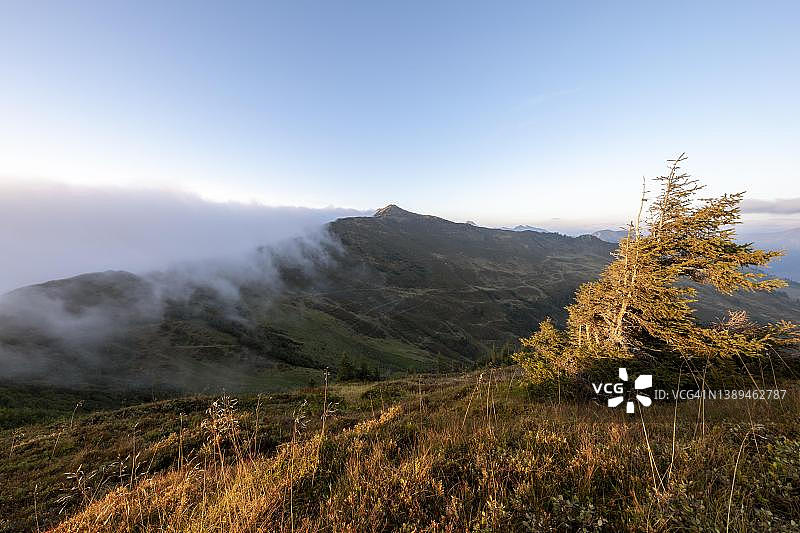 奥地利达姆尔斯波特拉科普夫秋日傍晚的高山谷地雾景图片素材
