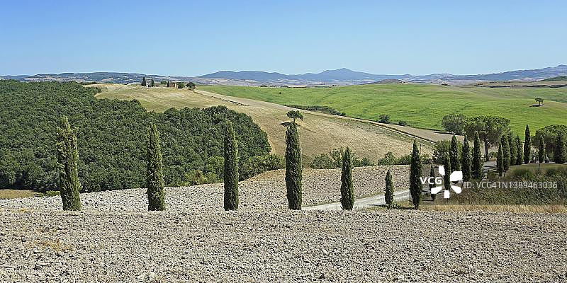 教堂和乡村别墅，丝柏（柏木属）山坡上的丝柏大道，圣奎里科多尔恰，奥尔恰谷，锡耶纳省，托斯卡纳，意大利图片素材