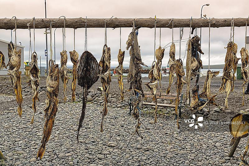 各种鱼干，冰岛瓦斯内斯半岛图片素材