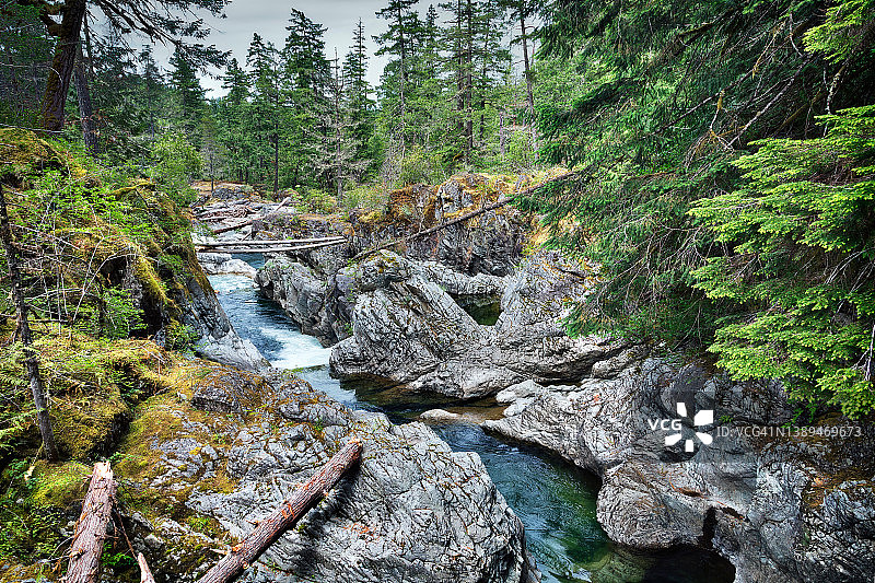 森林中树木环绕的小溪景色图片素材