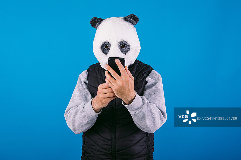 穿着熊猫面具和黑色背心在蓝色背景下咨询智能手机的人。关心地球和全球变暖的概念。图片素材