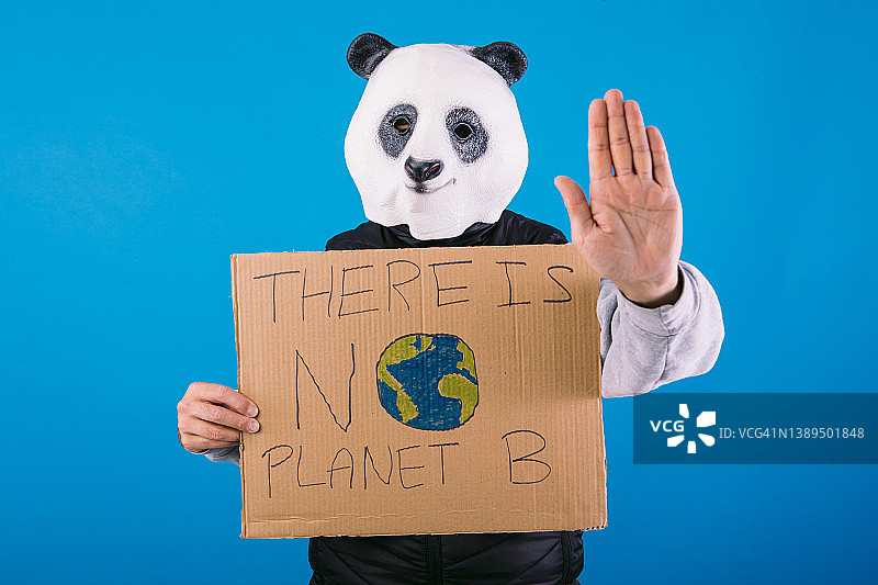 戴着熊猫面具、身穿黑色背心的人在蓝色背景前做出停止手势，并举着一个写着“没有B计划”的牌子。关爱地球和全球变暖的概念图片素材