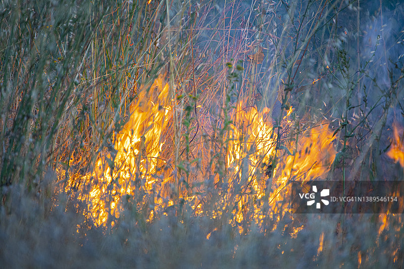 巴塞罗那，河流附近的草地上的火焰图片素材
