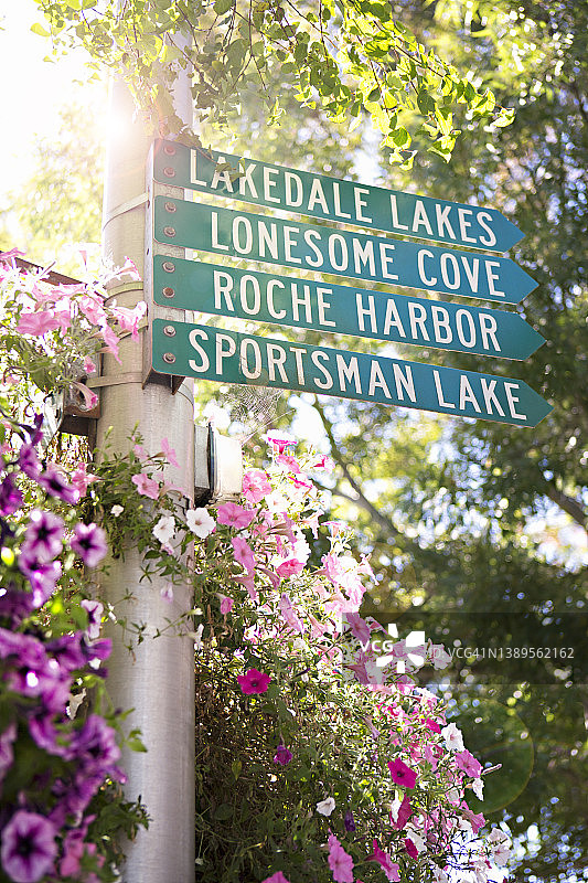 带鲜花的指示牌图片素材