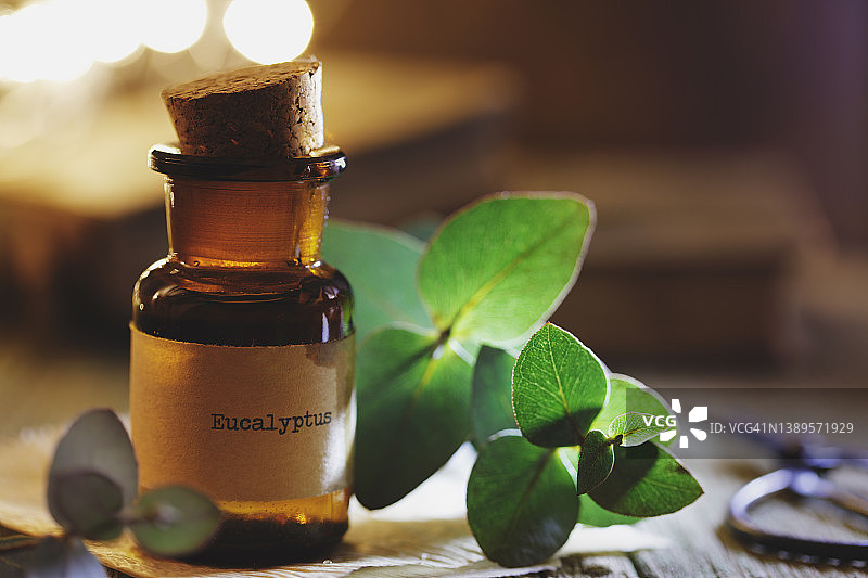 桉树精油图片素材