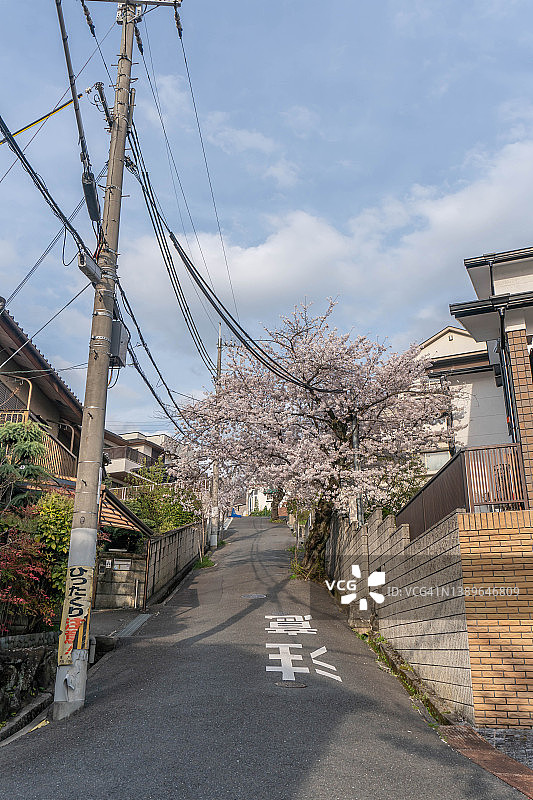 日本大阪的高架道路图片素材