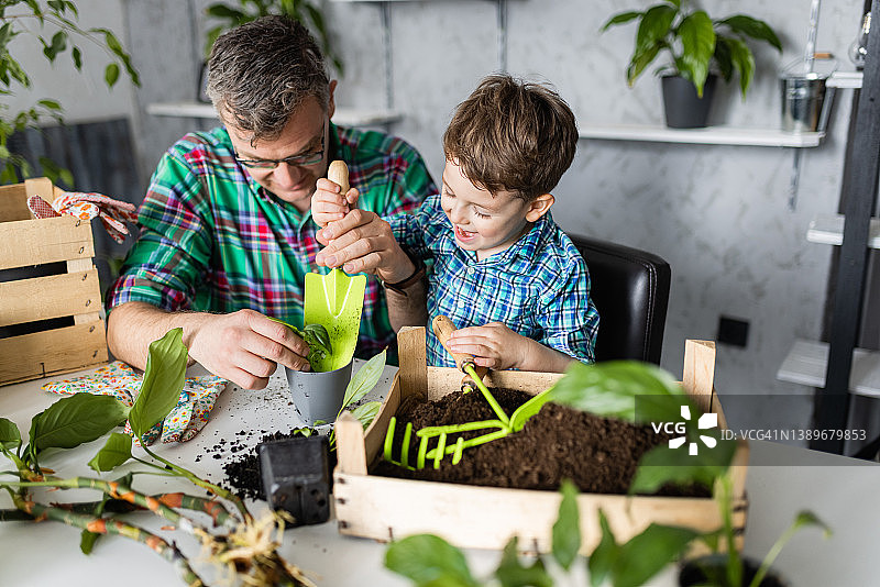 快乐的小男孩和父亲在家一起种花图片素材