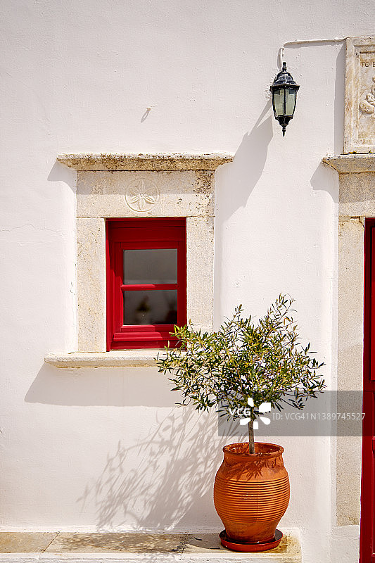 希腊米科诺斯童话巷道里的一棵小橄榄树图片素材