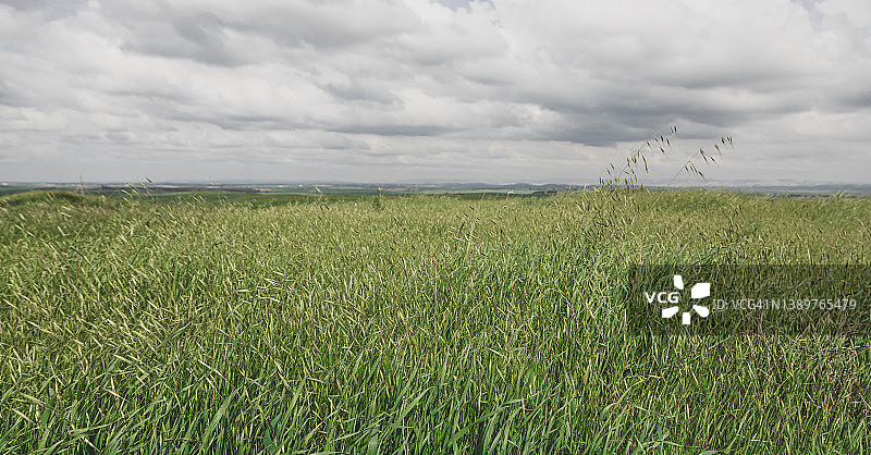 无尽的草原图片素材