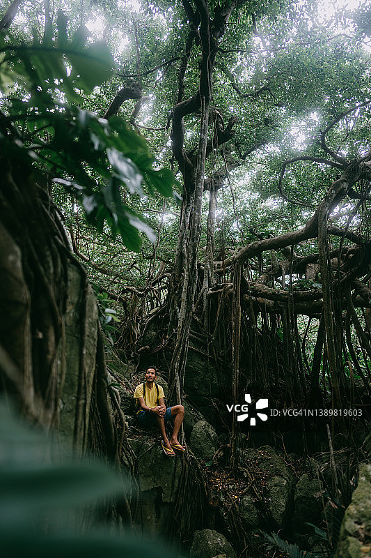 冲绳县的丛林和榕树中的男人图片素材