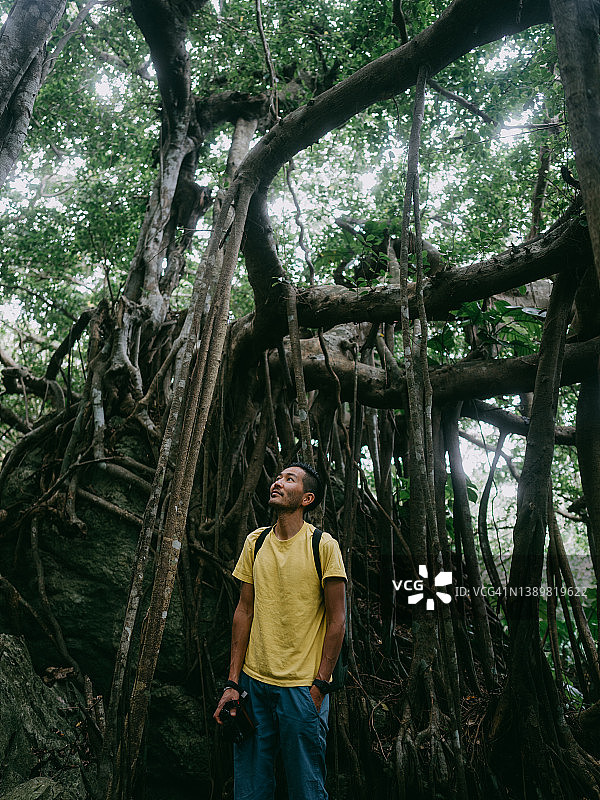 在有榕树的丛林中的男人图片素材